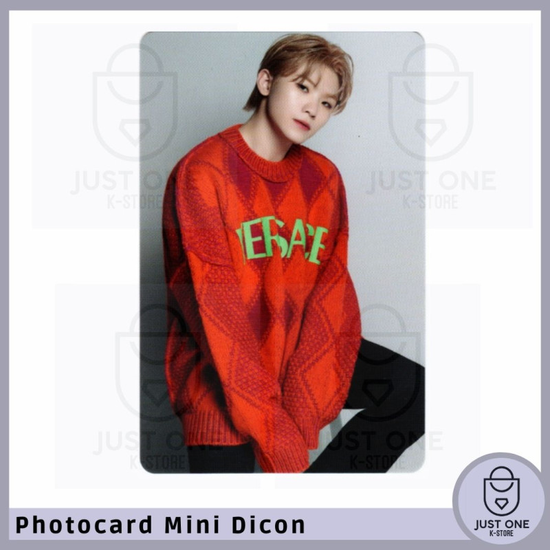 SEVENTEEN - Mini Dicon Photocard Woozi 4