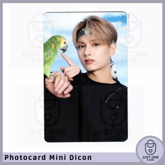 SEVENTEEN - Mini Dicon Photocard Jun 1