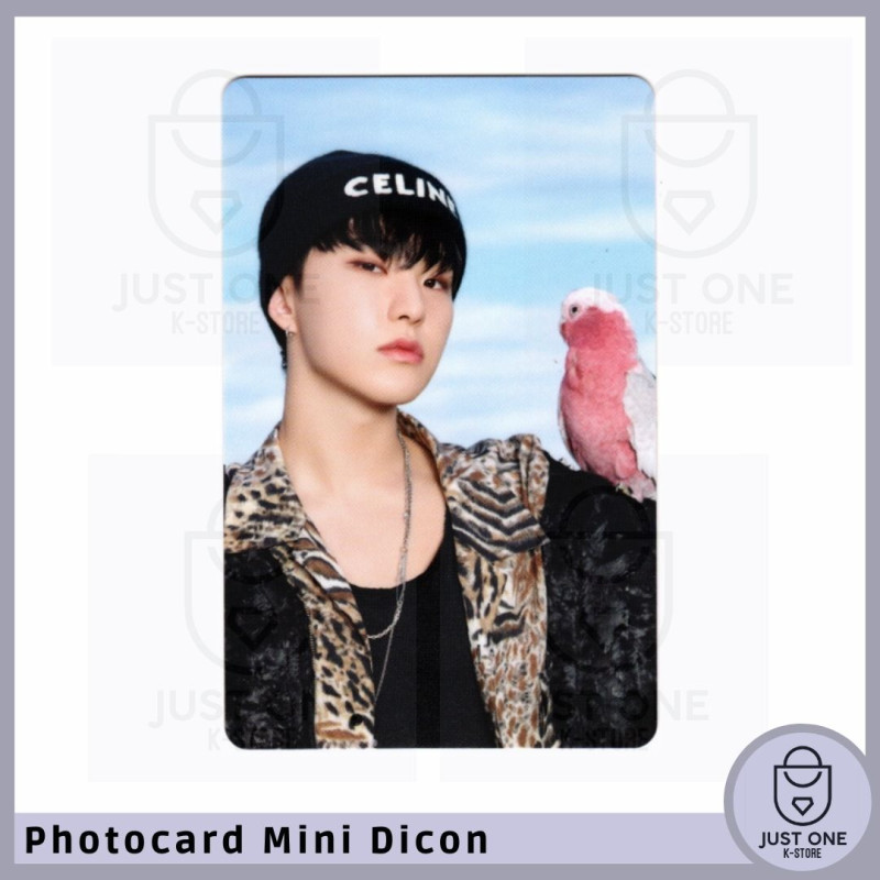 SEVENTEEN - Mini Dicon Photocard Hoshi 1