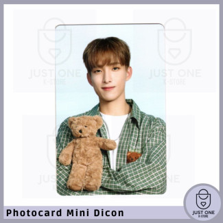 SEVENTEEN - Mini Dicon Photocard DK 5