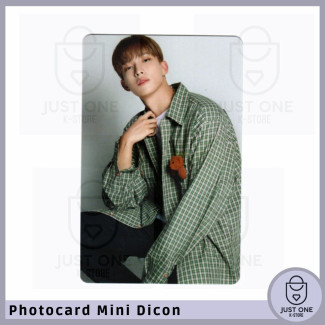 SEVENTEEN - Mini Dicon Photocard DK 7