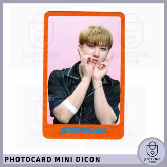 STRAY KIDS - Mini Dicon Photocard Changbin 10