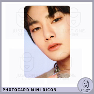 STRAY KIDS - Mini Dicon Photocard I.N 2