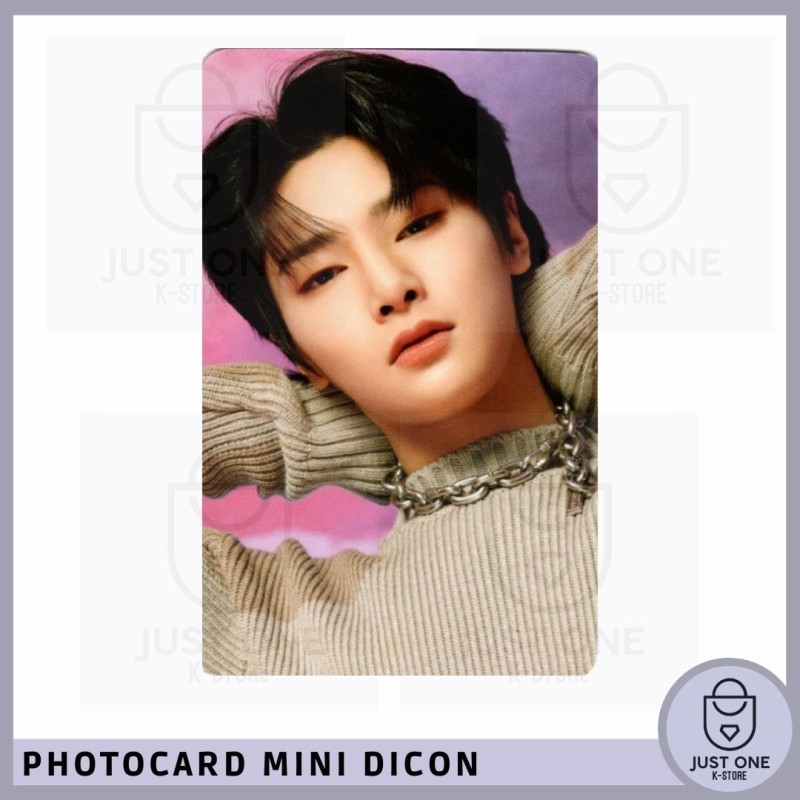 STRAY KIDS - Mini Dicon Photocard I.N 4