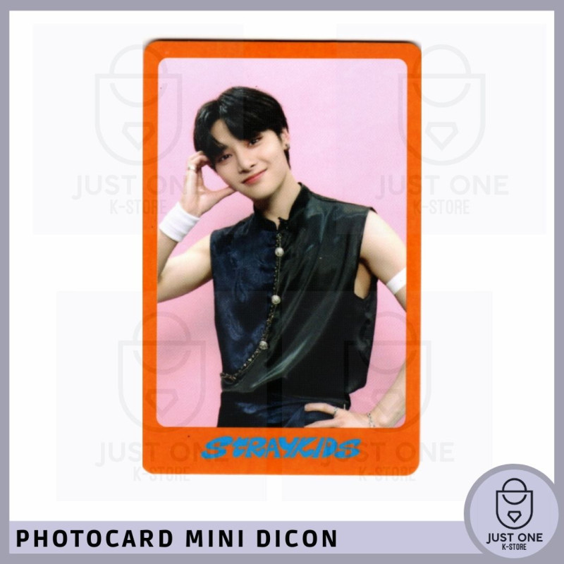 STRAY KIDS - Mini Dicon Photocard I.N 8