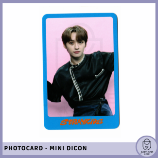 STRAY KIDS - Mini Dicon Photocard Leeknow 6