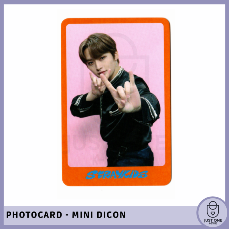 STRAY KIDS - Mini Dicon Photocard Leeknow 7