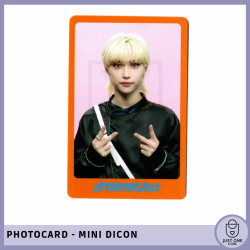 STRAY KIDS - Mini Dicon Photocard Felix 7