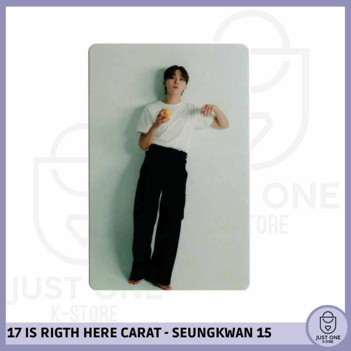 SEVENTEEN BEST ALBUM '17 IS RIGHT HERE' - (DEAR Ver.) - Photocard Seungkwan 15