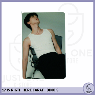 SEVENTEEN BEST ALBUM '17 IS RIGHT HERE' - (DEAR Ver.) - Photocard DINO 5