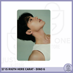 SEVENTEEN BEST ALBUM '17 IS RIGHT HERE' - (DEAR Ver.) - Photocard DINO 6