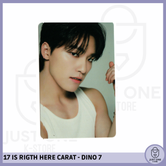 SEVENTEEN BEST ALBUM '17 IS RIGHT HERE' - (DEAR Ver.) - Photocard DINO 7