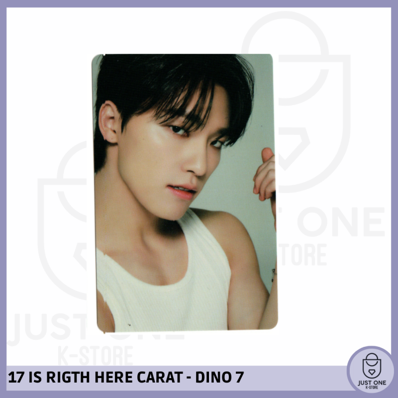 SEVENTEEN BEST ALBUM '17 IS RIGHT HERE' - (DEAR Ver.) - Photocard DINO 7