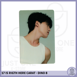 SEVENTEEN BEST ALBUM '17 IS RIGHT HERE' - (DEAR Ver.) - Photocard DINO 8