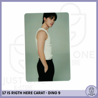 SEVENTEEN BEST ALBUM '17 IS RIGHT HERE' - (DEAR Ver.) - Photocard DINO 9