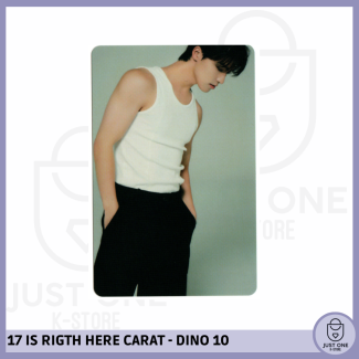 SEVENTEEN BEST ALBUM '17 IS RIGHT HERE' - (DEAR Ver.) - Photocard DINO 10