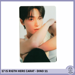 SEVENTEEN BEST ALBUM '17 IS RIGHT HERE' - (DEAR Ver.) - Photocard Dino 11