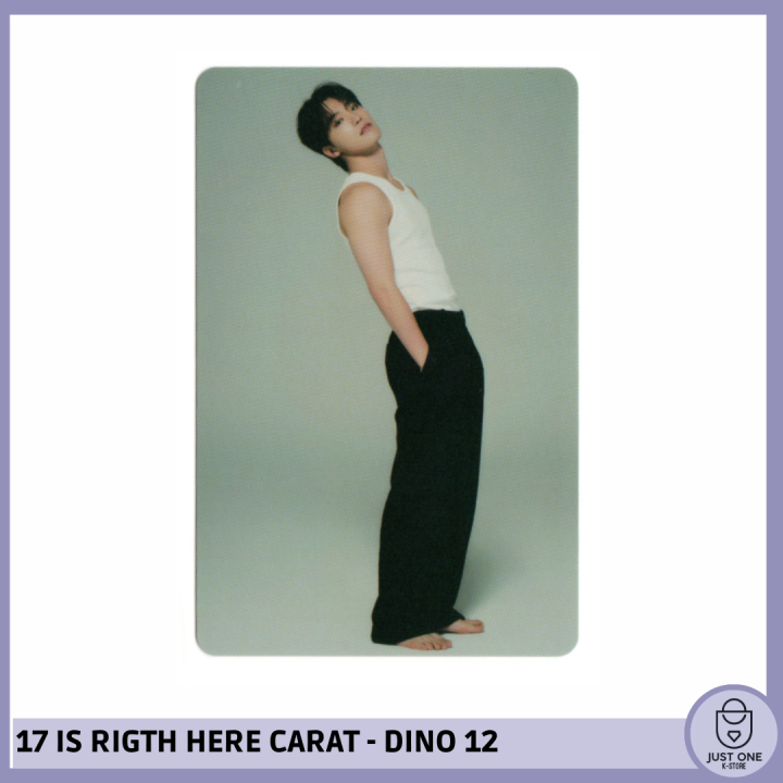 SEVENTEEN BEST ALBUM '17 IS RIGHT HERE' - (DEAR Ver.) - Photocard Dino 12