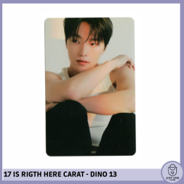 SEVENTEEN BEST ALBUM '17 IS RIGHT HERE' - (DEAR Ver.) - Photocard Dino 13