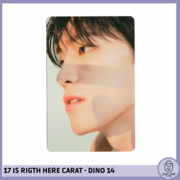 SEVENTEEN BEST ALBUM '17 IS RIGHT HERE' - (DEAR Ver.) - Photocard Dino 14