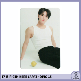 SEVENTEEN BEST ALBUM '17 IS RIGHT HERE' - (DEAR Ver.) - Photocard Dino 15