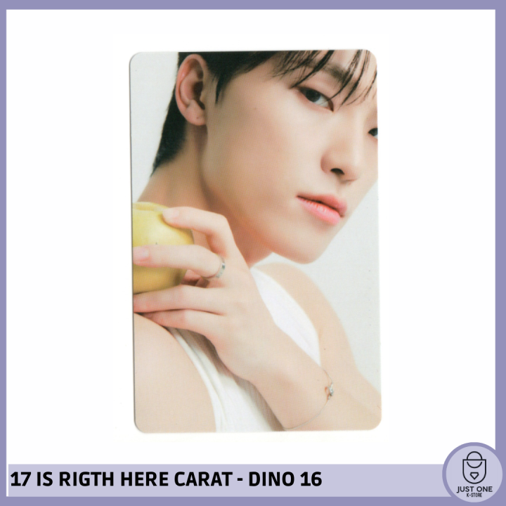 SEVENTEEN BEST ALBUM '17 IS RIGHT HERE' - (DEAR Ver.) - Photocard Dino 16