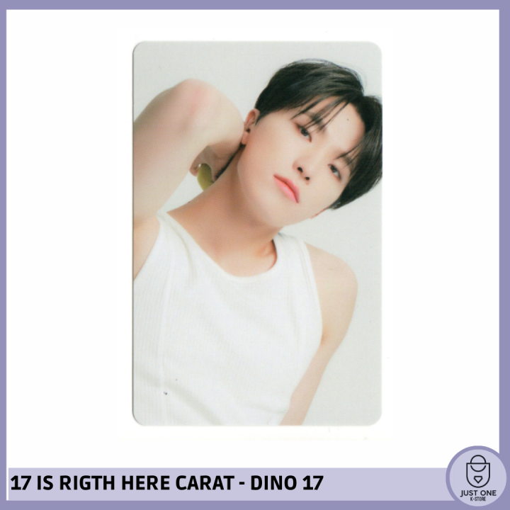 SEVENTEEN BEST ALBUM '17 IS RIGHT HERE' - (DEAR Ver.) - Photocard Dino 17