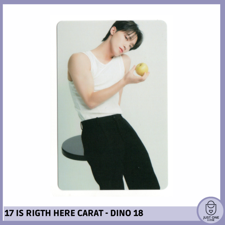 SEVENTEEN BEST ALBUM '17 IS RIGHT HERE' - (DEAR Ver.) - Photocard Dino 18