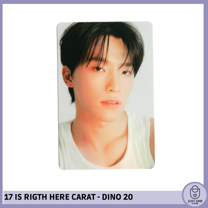 SEVENTEEN BEST ALBUM '17 IS RIGHT HERE' - (DEAR Ver.) - Photocard Dino 20