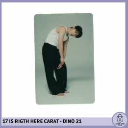 SEVENTEEN BEST ALBUM '17 IS RIGHT HERE' - (DEAR Ver.) - Photocard Dino 21