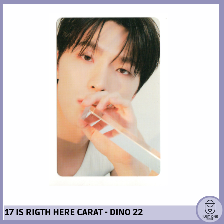 SEVENTEEN BEST ALBUM '17 IS RIGHT HERE' - (DEAR Ver.) - Photocard Dino 22