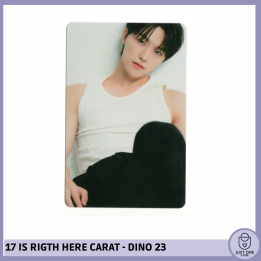 SEVENTEEN BEST ALBUM '17 IS RIGHT HERE' - (DEAR Ver.) - Photocard Dino 23