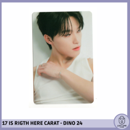 SEVENTEEN BEST ALBUM '17 IS RIGHT HERE' - (DEAR Ver.) - Photocard Dino 24