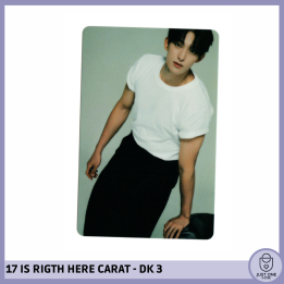 SEVENTEEN BEST ALBUM '17 IS RIGHT HERE' - (DEAR Ver.) - Photocard DK 3