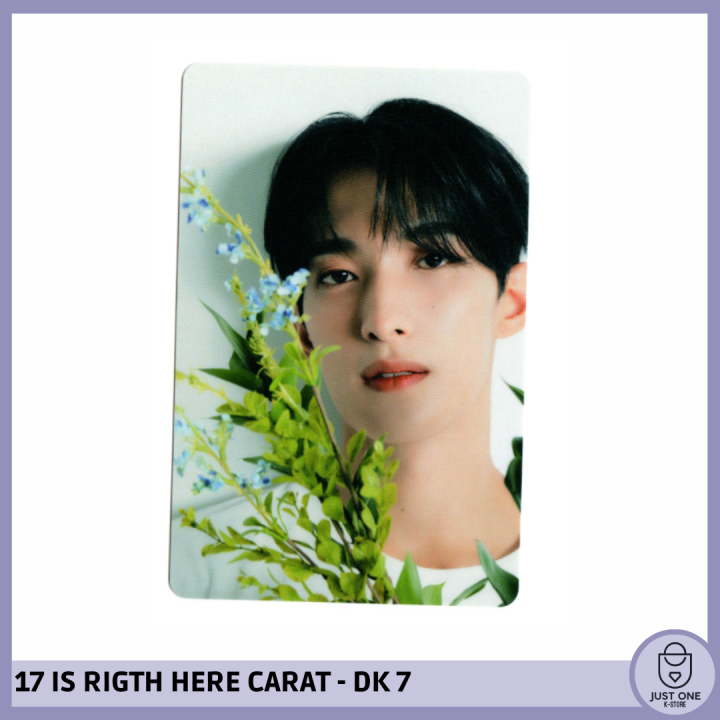 SEVENTEEN BEST ALBUM '17 IS RIGHT HERE' - (DEAR Ver.) - Photocard DK 7