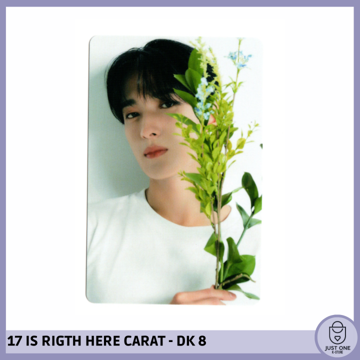 SEVENTEEN BEST ALBUM '17 IS RIGHT HERE' - (DEAR Ver.) - Photocard DK 8