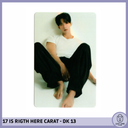SEVENTEEN BEST ALBUM '17 IS RIGHT HERE' - (DEAR Ver.) - Photocard DK 13
