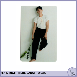 SEVENTEEN BEST ALBUM '17 IS RIGHT HERE' - (DEAR Ver.) - Photocard DK 21