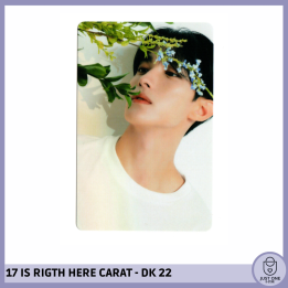 SEVENTEEN BEST ALBUM '17 IS RIGHT HERE' - (DEAR Ver.) - Photocard DK 22