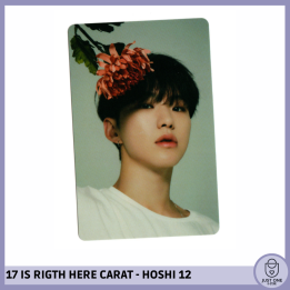 SEVENTEEN BEST ALBUM '17 IS RIGHT HERE' - (DEAR Ver.) - Photocard HOSHI 12
