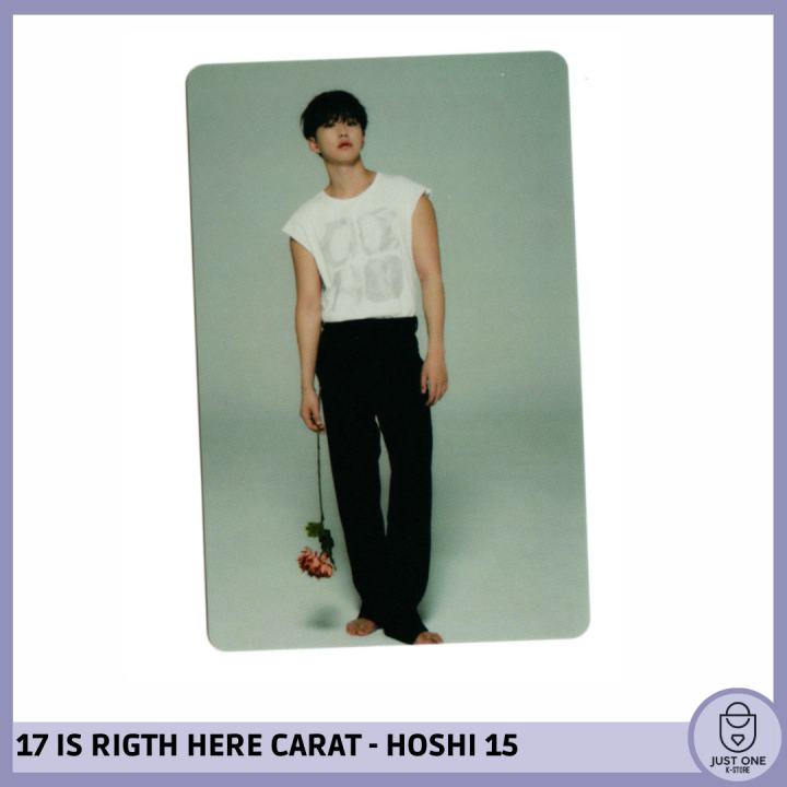 SEVENTEEN BEST ALBUM '17 IS RIGHT HERE' - (DEAR Ver.) - Photocard HOSHI 15
