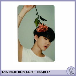 SEVENTEEN BEST ALBUM '17 IS RIGHT HERE' - (DEAR Ver.) - Photocard HOSHI 17