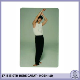 SEVENTEEN BEST ALBUM '17 IS RIGHT HERE' - (DEAR Ver.) - Photocard HOSHI 19