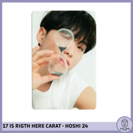 SEVENTEEN BEST ALBUM '17 IS RIGHT HERE' - (DEAR Ver.) - Photocard HOSHI 24