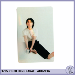 SEVENTEEN BEST ALBUM '17 IS RIGHT HERE' - (DEAR Ver.) - Photocard WOOZI 14