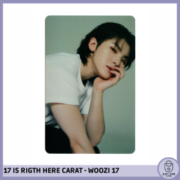 SEVENTEEN BEST ALBUM '17 IS RIGHT HERE' - (DEAR Ver.) - Photocard WOOZI 17
