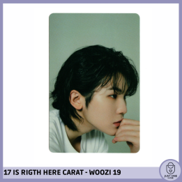 SEVENTEEN BEST ALBUM '17 IS RIGHT HERE' - (DEAR Ver.) - Photocard WOOZI 19