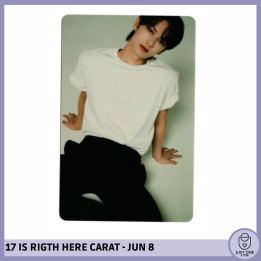 SEVENTEEN BEST ALBUM '17 IS RIGHT HERE' - (DEAR Ver.) - Photocard JUN 8