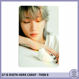 SEVENTEEN BEST ALBUM '17 IS RIGHT HERE' - (DEAR Ver.) - Photocard THE8 - 9