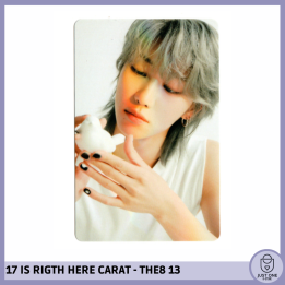 SEVENTEEN BEST ALBUM '17 IS RIGHT HERE' - (DEAR Ver.) - Photocard THE8 - 13